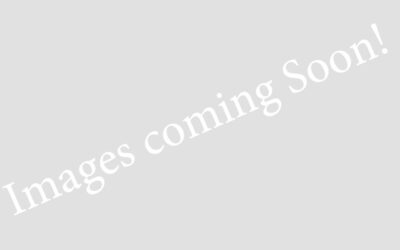 OMV Extrusion & Thermoforming in-line system